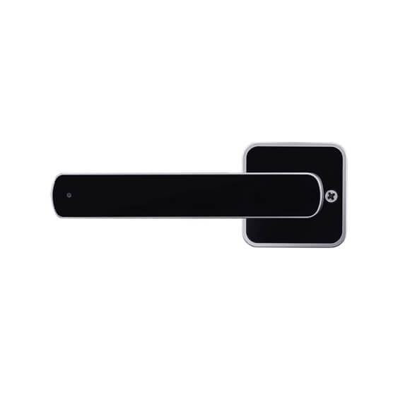 Fingerprint Door Lock M100S